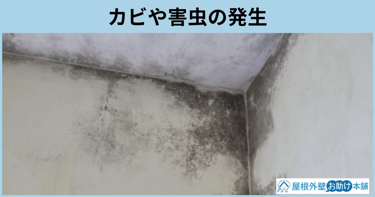 カビや害虫の発生