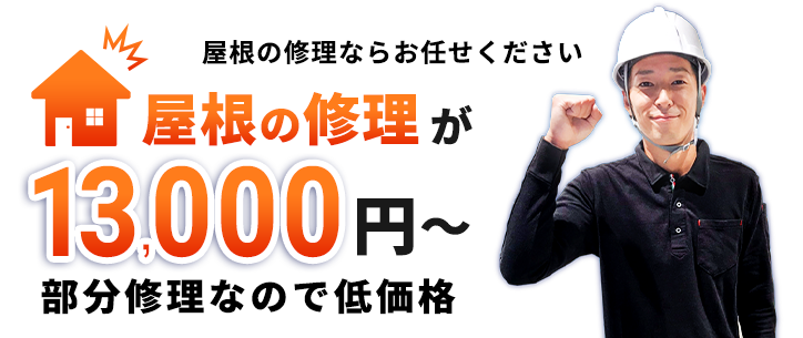 全国どこでも対応 各種クレジットカード、後払いにも対応【天井の水漏れ】【屋根の劣化】【瓦が壊れた】